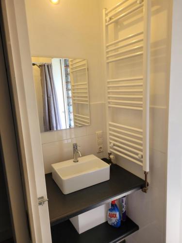 uma casa de banho com um lavatório branco e um espelho. em Prins van Poederoijen em Poederoijen