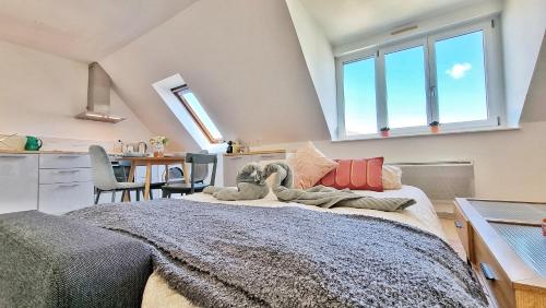 Colmar Mon Amour-CHIC-GARAGE-FIBRE-RBNB