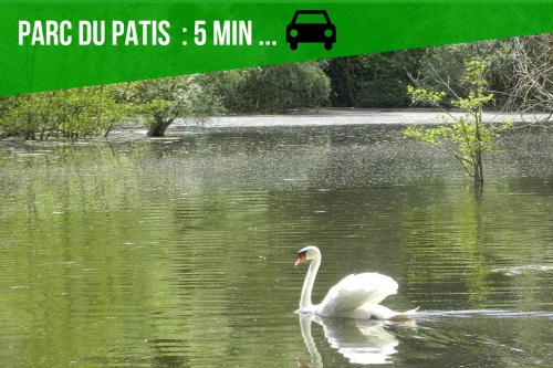 a white swan swimming in a lake with a green sign at The Sunshine- Appart cosy proche Paris-Disney avec Parking privé dans résidence in Meaux