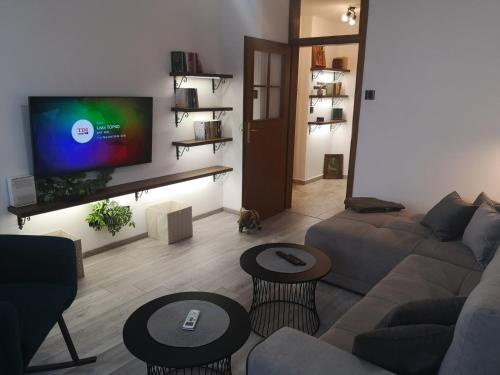 salon z kanapą i telewizorem z płaskim ekranem w obiekcie Apartman Darvin / Lux w Belgradzie
