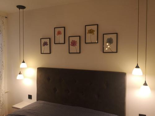 sypialnia z łóżkiem z czterema obrazami na ścianie w obiekcie Apartman Darvin / Lux w Belgradzie