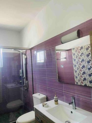 a bathroom with a toilet and a sink and a shower at George House in Archangelos