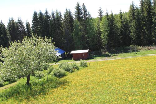 a barn in the middle of a field with a tree at Maatilamatkailu Jänisvaara in Kolinkylä