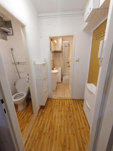 a bathroom with a toilet and a sink at Sušice apartmán 18 in Sušice