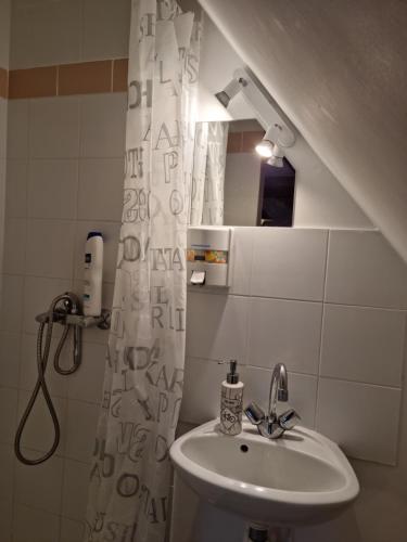 bagno con lavandino e tenda doccia di L'Aupinouse Chambre double Chardon, au 1er étage avec salle d'eau privative a La Suze-sur-Sarthe