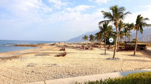 a beach with palm trees and chairs and the ocean at Jebel Sifah Suites in As Sīfah