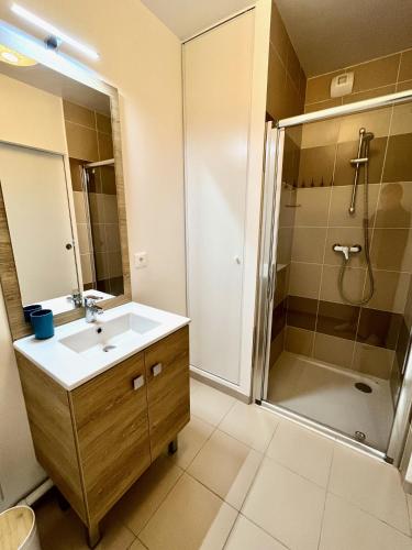 une salle de bain avec un lavabo et une douche dans l'établissement T4 avec grande terrasse et parking privé, à Caen