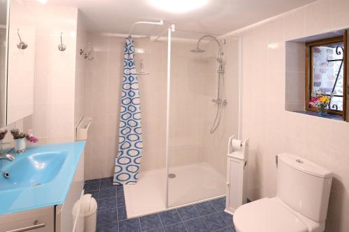 La salle de bains est pourvue d'une douche, de toilettes et d'un lavabo. dans l'établissement Gite Malivert, à Dierre