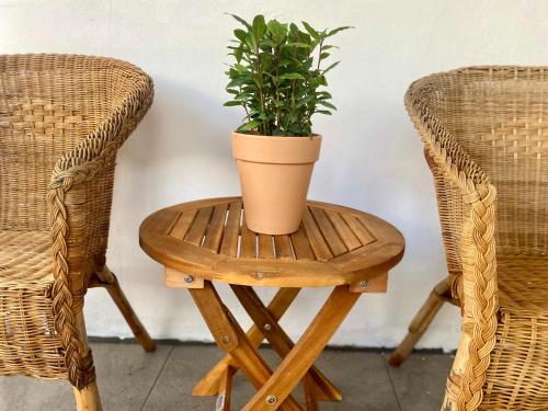 a potted plant on a wooden stool next to two chairs at Süßes Gästehäuschen in 1A Lage in Bochum