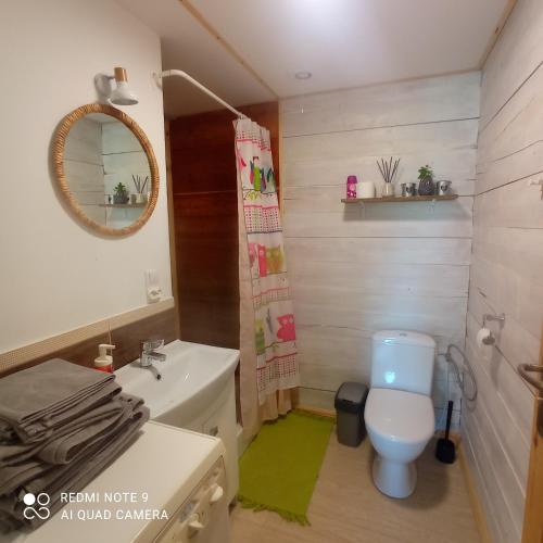 a bathroom with a toilet and a sink and a mirror at EkoStolarnia in Rutka Tartak