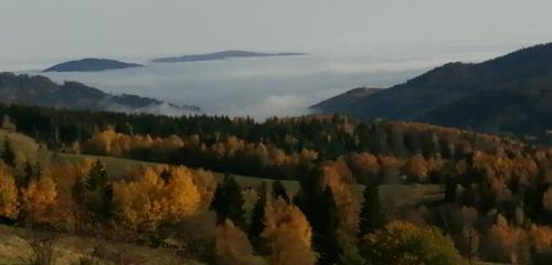 an aerial view of a forest with fog in the distance at Prázdninový byt Lýdia in Lopej
