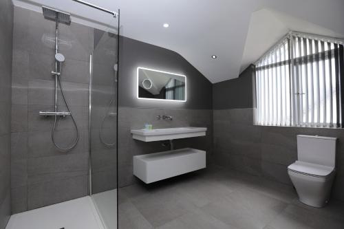 a bathroom with a shower and a sink and a toilet at Glass Island Ballycastle in Ballycastle