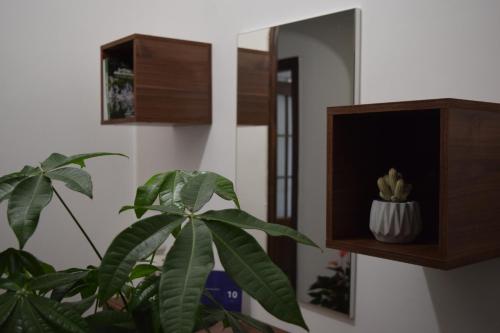 een plant op een muur naast een spiegel bij Residenza Lo Bello Vedere in Caserta