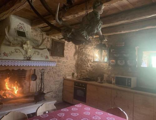 uma cozinha com um fogão e uma lareira num quarto em Chalet La Rite Dolomiti em Masariè