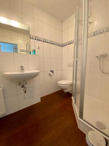 a bathroom with a sink and a toilet and a shower at Küstenapartment 2 in Gelbensande