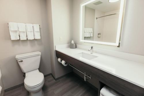 a bathroom with a toilet and a sink with a mirror at Holiday Inn Express and Suites Urbandale Des Moines by IHG in Urbandale