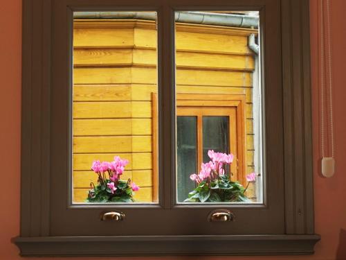 a window with two flowers in a window sill at Tilas - Rooms in 19th Century Wooden Townhouse,Kadikoy in Istanbul