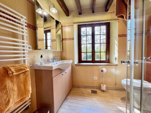 a bathroom with a sink and a shower and a toilet at Le studio Au Bon Maréchal in Giverny