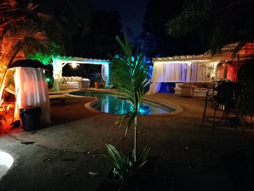 a house with a pool at night with lights at Casa de Tortuga Guesthouse in Vieques