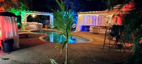una piscina en un patio por la noche con luces en Casa de Tortuga Guesthouse en Vieques