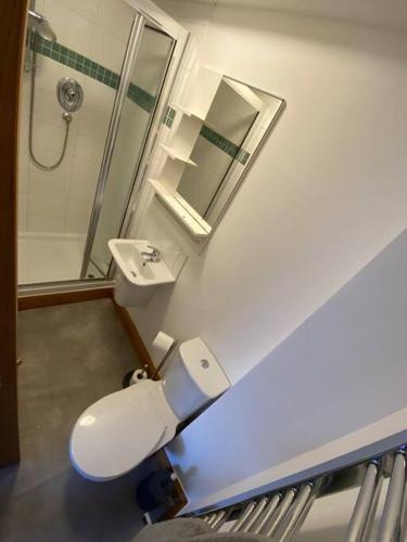 a bathroom with a toilet and a sink and a mirror at Studio apartment in Norwich City centre in Norwich
