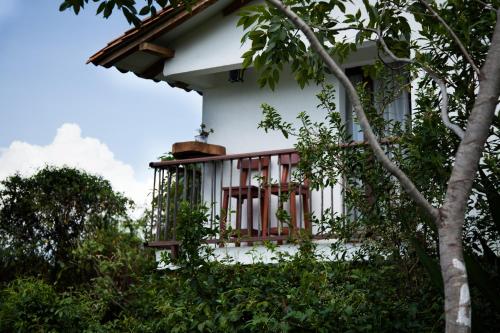 Zahrada ubytování Hospedaje La Tierrita Villa de Leyva