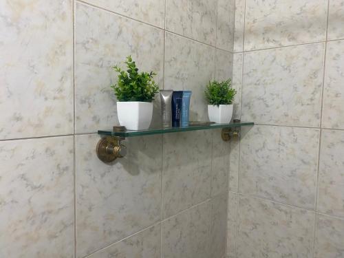 two plants sitting on a shelf in a bathroom at Cozy Quarters Tobago in Scarborough