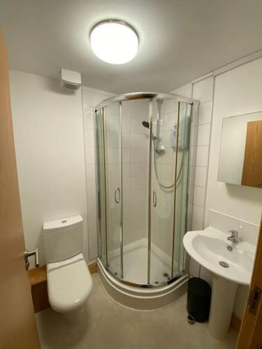 ein Bad mit einer Dusche, einem WC und einem Waschbecken in der Unterkunft Spacious 1 bedroom apartment in Norwich city centre in Norwich