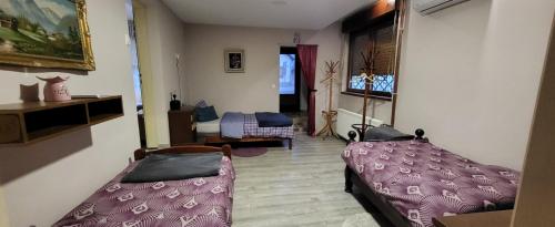 ÐurđevacにあるPri Đovetuのベッド1台とリビングルームが備わる客室です。