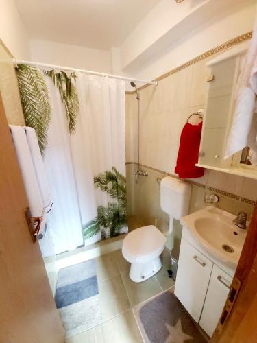 a bathroom with a toilet and a sink at Risan center apartment in Risan