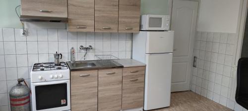 a small kitchen with a white refrigerator and a sink at Nagyi Vendégház Kecskemét in Kecskemét