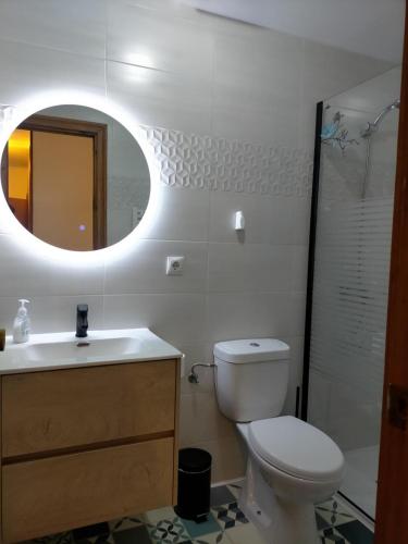 a bathroom with a toilet and a sink and a mirror at Bajo los nidos 2 in San Emiliano