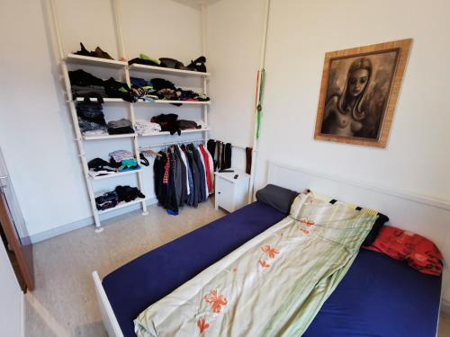 a bedroom with a blue bed and a closet at NearWöhrderSeaAndStation in Nuremberg