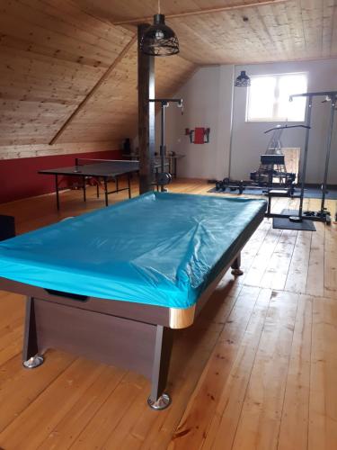 a ping pong table in a room with two ping pong tables at Noclegi u Klintona in Podwilk