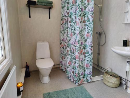 a bathroom with a toilet and a shower curtain at Mysigt hus med utsikt över fjäll och älv. in Järpen
