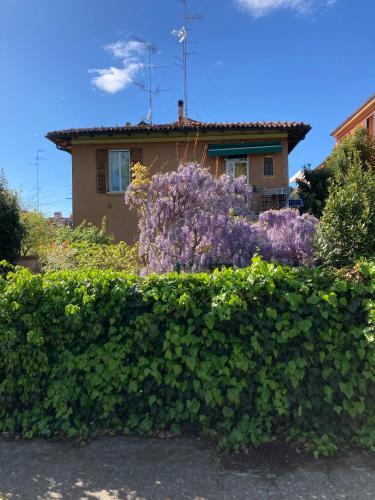 Il Giardino Nel Parco R&B photo 59