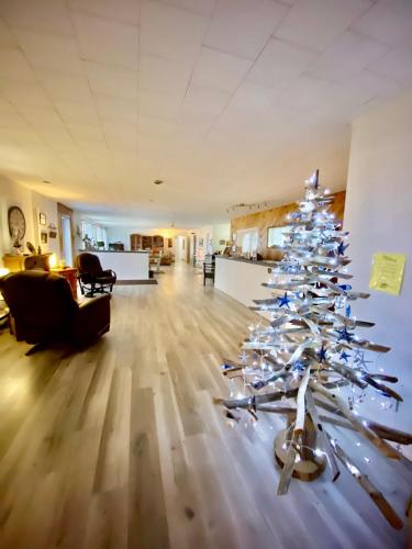 a christmas tree in the middle of a living room at L'Escale Lam-Air in Rivière-au-Tonnerre