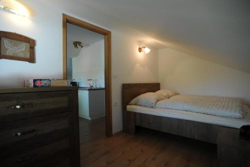 1 dormitorio con cama, tocador y espejo en Turistična kmetija Izgoršek, 