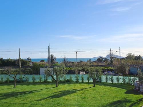 a field of grass with trees and a fence at La Campagna di Peppe e Tullia in Formia