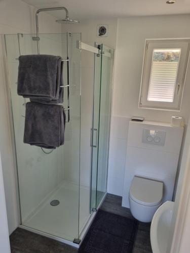 a bathroom with a glass shower and a toilet at Ferienhaus Diemelaue in Bad Karlshafen