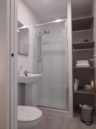 een badkamer met een douche, een toilet en een wastafel bij Estudio Carmen in Cádiz
