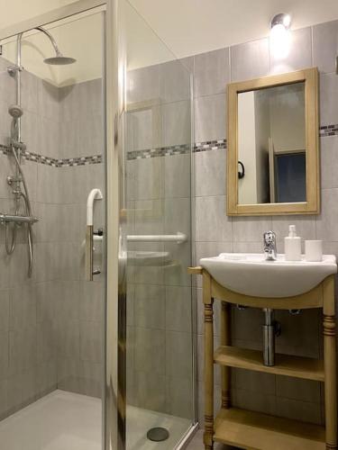 une salle de bain avec un lavabo et une douche avec un miroir dans l'établissement Appartement Les Halles Narbonne, à Narbonne