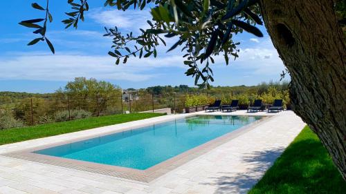a swimming pool with chairs and a tree at B&B Villa Maggi in Locorotondo