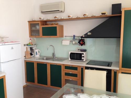 eine kleine Küche mit einer Spüle und einer Mikrowelle in der Unterkunft Apartment Duncovich in Cres
