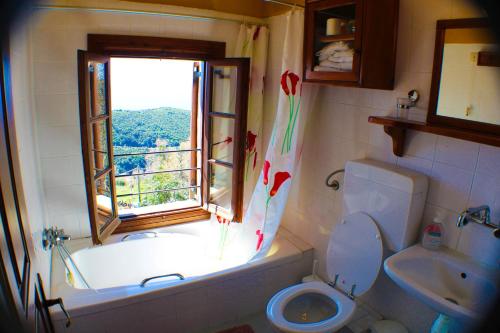 a bathroom with a tub and a toilet and a window at Hotel Stoikos in Vyzitsa