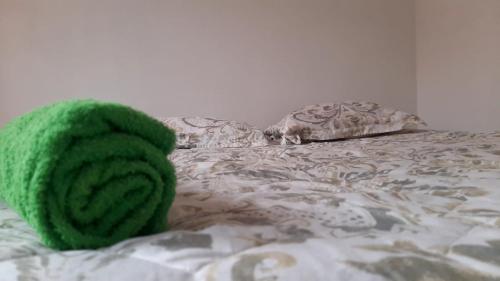 eine grüne Decke auf dem Bett in der Unterkunft Habitación privada cama doble baño compartido in Bogotá