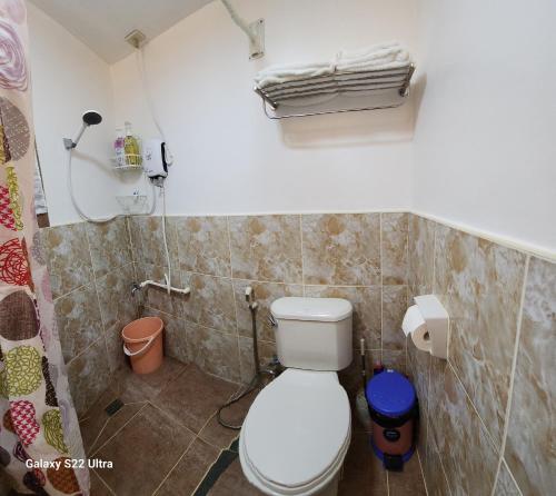 a bathroom with a toilet and a shower at Chue&larry's Beachside Homestay in Libagon