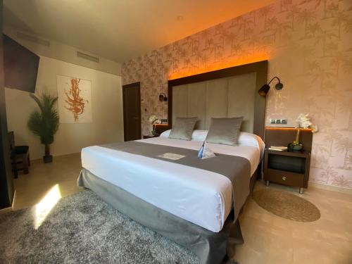 a bedroom with a large bed in a room at ON ALETA ROOM designed for adults in Almuñécar