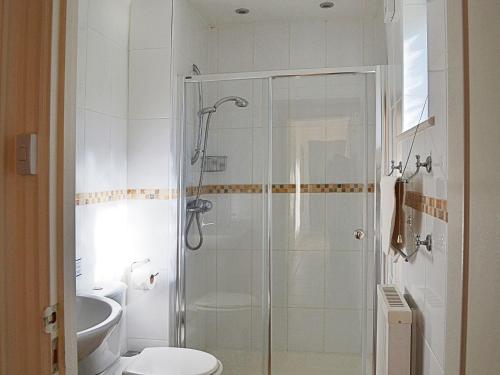 a bathroom with a shower and a toilet and a sink at Lambs Gate in Stoke Gabriel