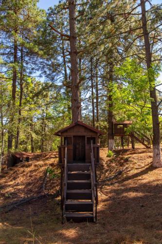 a small tree house in the middle of a forest at Hotel & Glamping Huasca Sierra Verde in Huasca de Ocampo